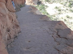 It's wider than it looks...